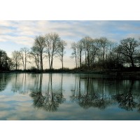 Derek Harris - Frozen Reflection