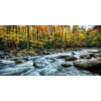 D. Burt - Painted Autumn