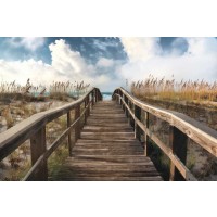Michael Cahill - Path To Paradise