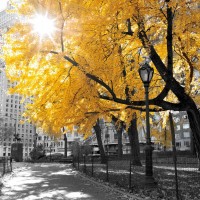 Assaf Frank - Park Pretty II