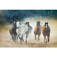 Wendy Caro - Dust Devils