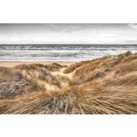 Assaf Frank - Beach Dunes