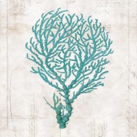 Sabine Berg - Under the Sea I