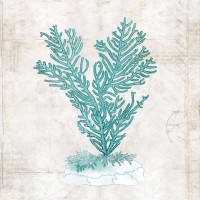 Sabine Berg - Under the Sea II