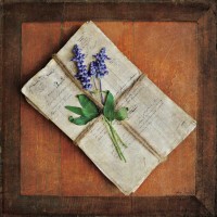 Cristin Atria - Letters To Home II