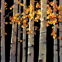 Michael OToole - Aspen Grove