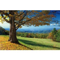 Mike Jones - Blue Ridge Beauty