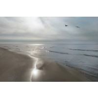 Monte Nagler - Beach Flight
