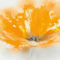 J.P. Prior - Wild Orange Sherbet I