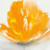 J.P. Prior - Wild Orange Sherbet II