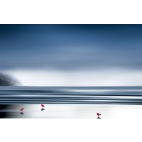 Marvin Pelkey  - By The Shore