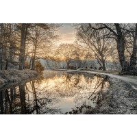 Assaf Frank - Frosty Morning