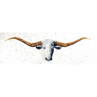 Marvin Pelkey - Longhorn