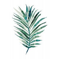Marina Billinghurst - Areca