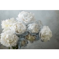 Assaf Frank - A Gift of Peonies