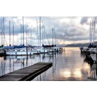 D. Burt - Walk on  the Dock