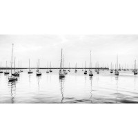 Assaf Frank - Anchored Sails