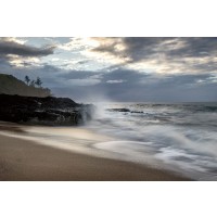 D. Burt - Secret Beach