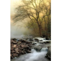 D. Burt - One Spring Morning