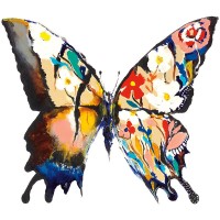 Aziz Kadmiri - Papillon Daisy