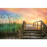 Celebrate Life Gallery - Walk Into Sunrise