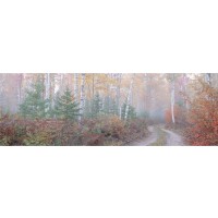 Halfmoon Road