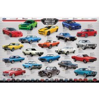 Ford - Dodge - Plymouth - Pontiac - OldsMobile - Buick - Chevrolet - Chrysler - American Muscle Car - Evolution