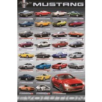 Ford - Mustang - Evolution