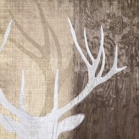 Tandis Venter - Deer Lodge II 