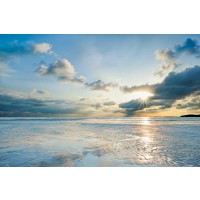 Daniel J. Bellyk - Taylor Bay 