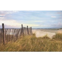 Assaf Frank - West Wittering Beach 