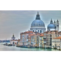 Assaf Frank - Venice Lately 