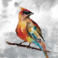 Stephane Fontaine - Cardinal 