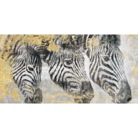 Dina Perejogina - Zebra 
