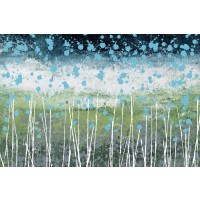 Liz Nichtberger - Aqua Splash 