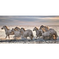 Xavier Ortega - Running Horses 
