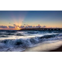Celebrate Life Gallery - The Wave 