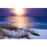 Mike Jones - Pensacola Moonrise 