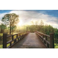 Celebrate Life Gallery - Dreams 