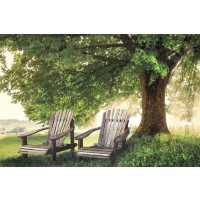 Celebrate Life Gallery - Made In The Shade 