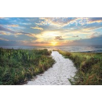 Celebrate Life Gallery - Morning Trail 