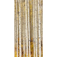 Idan Myrddin - Birch Trunks  