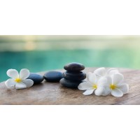 Omar Olavie - White Frangipani On Black Stones  