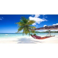 Anna McCormick - Hammock on Tropical Beach  