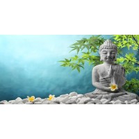Darija Mile - Buddah In Meditation I  