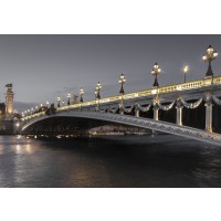 Tim Arrisson - Alexander III Bridge, France  