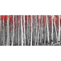 Mara Shinju - Red Leaves In A Black And White Forest  