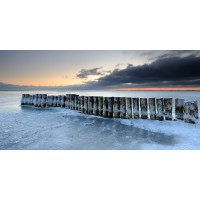 Walter Furguson - Breakwater  