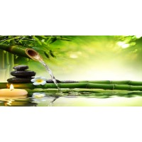 Omar Alavi - Bamboo Fountain  