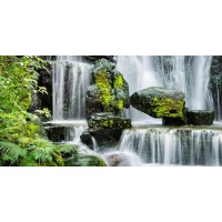 Stephen Yong - Tropical Water Fall  